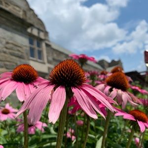 Meet your Posher, Caroline